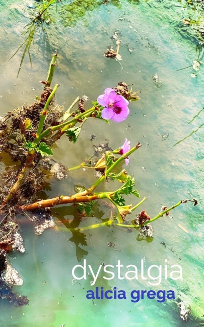 Dystalgia: Poems 2016-2020