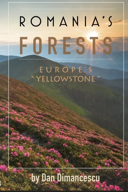 ROMANIAS FORESTS: Europes Yellowstone