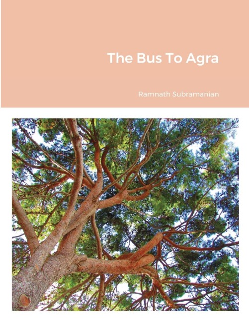 The Bus To Agra