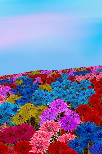 Mindbook: Oh my bottle flower field