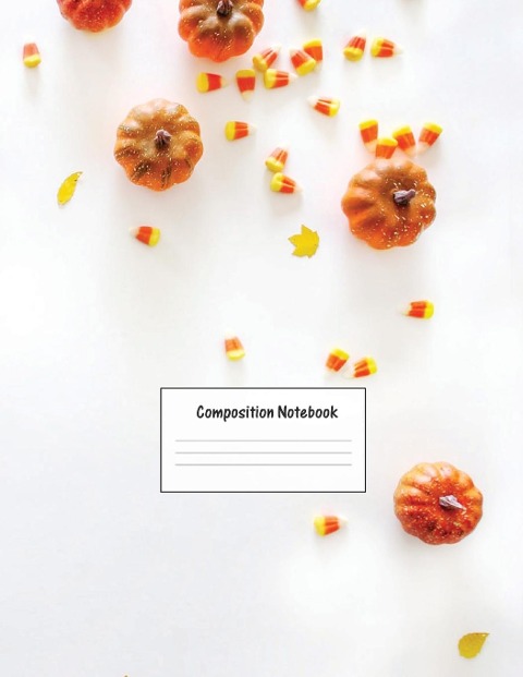 Composition Notebook: Wide Ruled Lined Paper: Large Size 8.5x11 Inches, 110 pages. Notebook Journal: Lonely Bird Flying Workbook for Preschoolers Students Teens Adults for School College Work Writing Notes