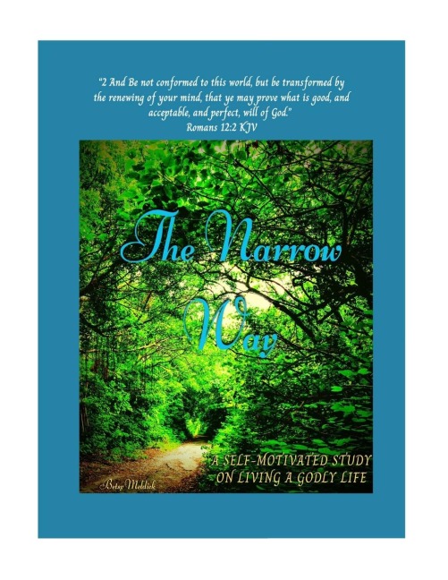 The Narrow Way: A self-motivated study on living a Godly life