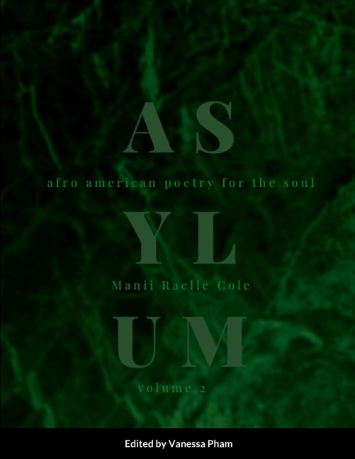 Asylum: Volume 2: Afro-American Poetry for the Soul