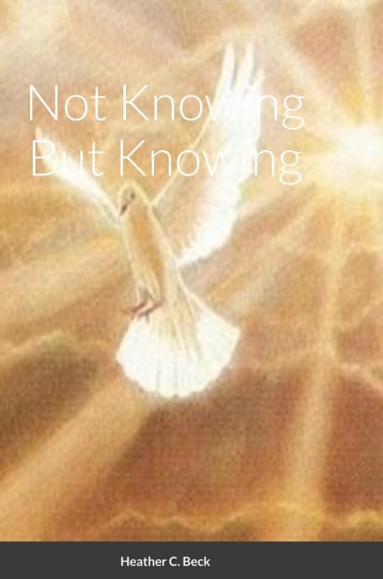 Not Knowing But Knowing