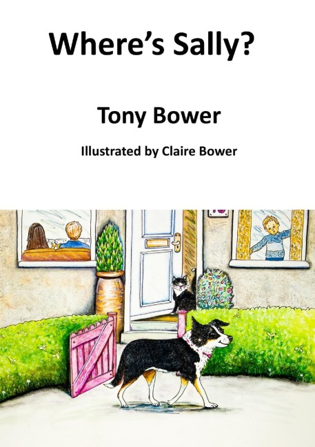 Wheres Sally?: A Childrens Free Verse Novel