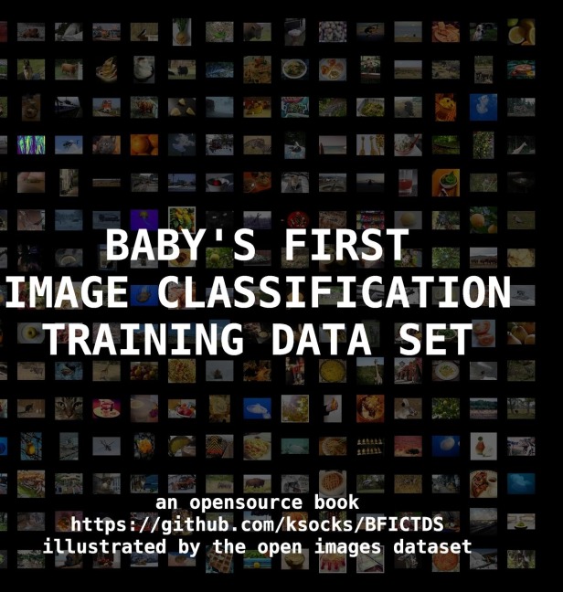 Babys First Image Classification Training Data Set