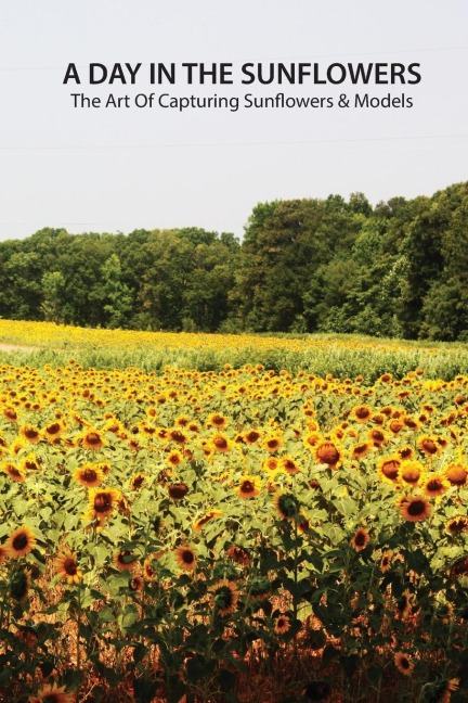 A day in the sunflowers: the art of capturing sunflowers & models