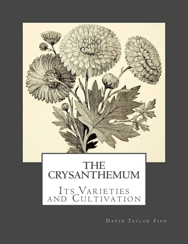 The Crysanthemum Its Varieties and Cultivation