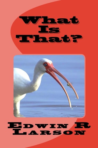What Is That? The Ninth Convolution