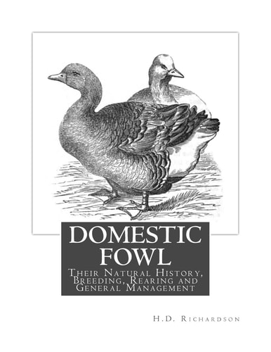 Domestic Fowl Their Natural History, Breeding, Rearing and General Management