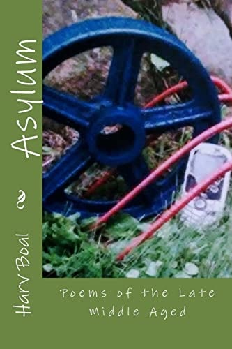 Asylum Poems of the Late Middle Aged