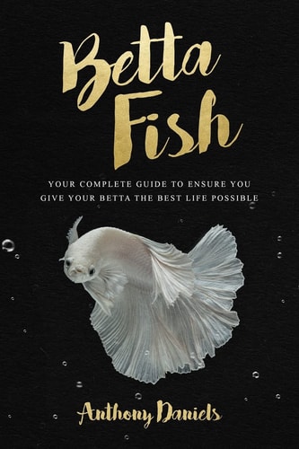 Betta Fish Your Complete Guide to Ensure You Give Your Betta the Best Life Possible