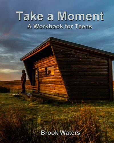 Take a Moment Depression and Anxiety Workbook for Teens
