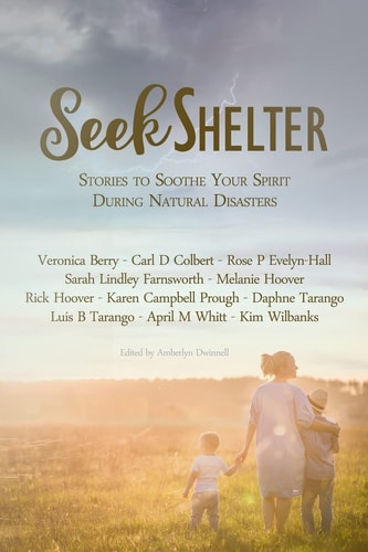 Seek Shelter Stories to Soothe Your Spirit During Natural Disasters