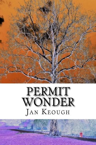 Permit Wonder A Gathering of Poems