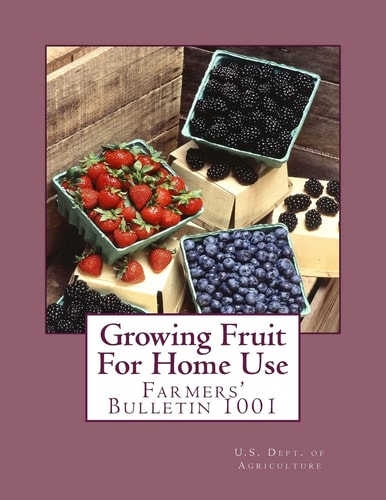 Growing Fruit For Home Use Farmers' Bulletin 1001