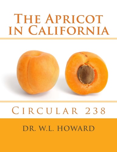 The Apricot in California Circular 238