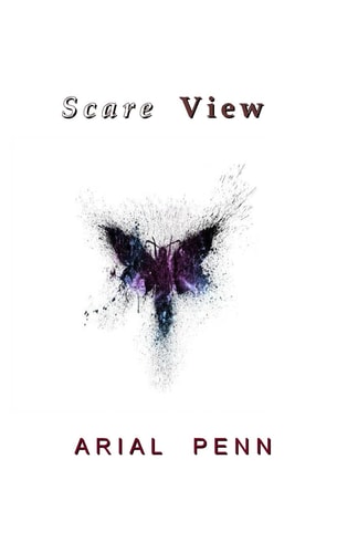 'Scare View'