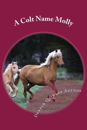 A Colt Name Molly Ther Hunt For ''Febee''