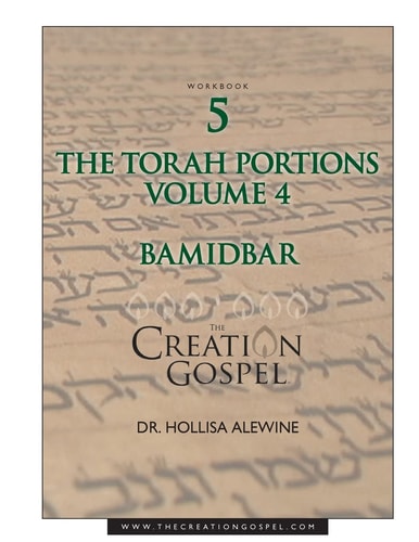 Creation Gospel Workbook Five: Bamidbar Volume Four