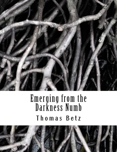 Emerging from the Darkness Numb Poems, Vignettes, and Stories