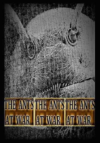 The Ants at War