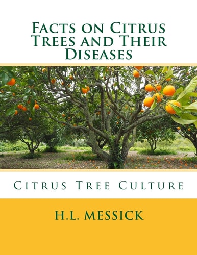 Facts on Citrus Trees and Their Diseases Citrus Tree Culture