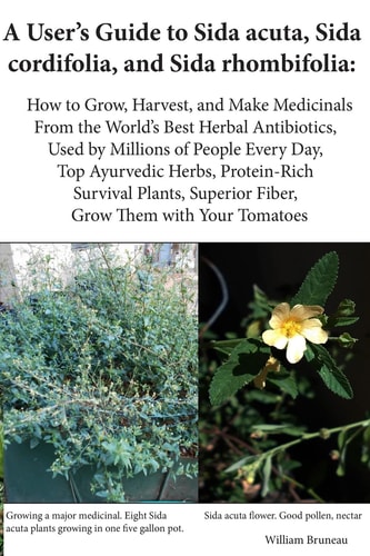A User's Guide to Sida Acuta, Sida Cordifolia, and Sida Rhombifolia: How to Grow, Harvest, and Make Medicinals from the World's Best Herbal Antibiotics, Used by Millions of People Every Day, Top Ayurvedic Herbs, Protein-Rich Survival Plants, Superior Fibe