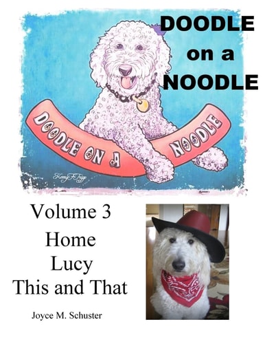 Doodle on a Noodle Home, Lucy, This and That