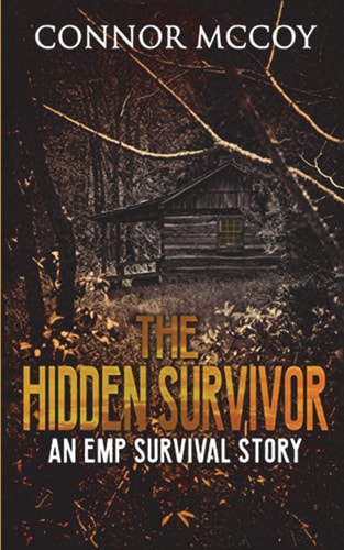The Hidden Survivor An Emp Survival Story