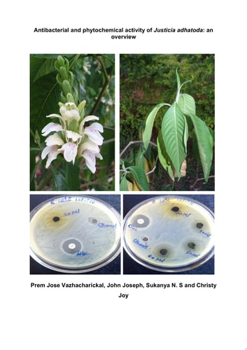 Antibacterial and phytochemical activity of Justicia adhatoda: an overview