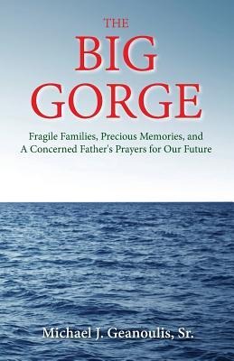 The Big Gorge: Fragile Families, Precious Memories, and a Concerned Fathers Prayers for Our Future