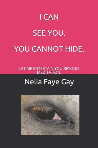 I Can See You. You Cannot Hide Let Me Entertain You Beyond Meditation.