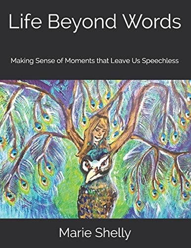 Life Beyond Words Making Sense of Moments That Leave Us Speechless