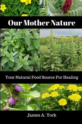 Our Mother Nature Your Natural Food Source For Healing