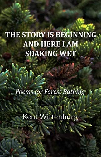 The Story Is Beginning and Here I Am Soaking Wet Poems for Forest Bathing