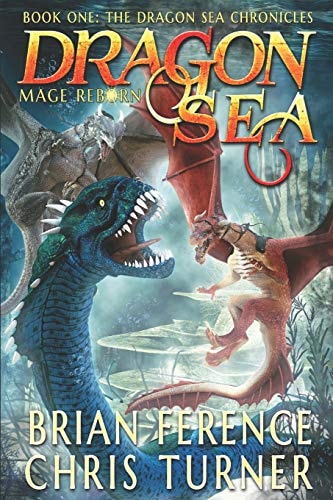 Dragon Sea Mage Reborn