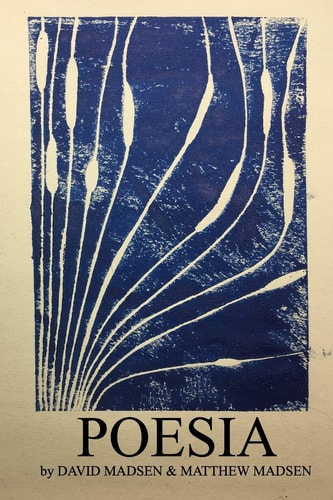 Poesia Poems and Illustrations by David Madsen & Matthew Madsen