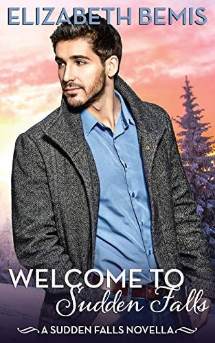 Welcome to Sudden Falls A Sudden Falls Novella