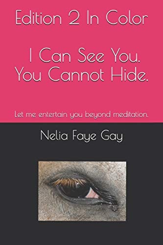 Edition 2 In Color, I Can See You. You Cannot Hide Let Me Entertain You Beyond Meditation.