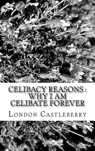 Celibacy Reasons Why I Am Celibate Forever