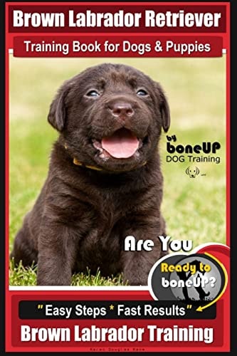 Brown Labrador Retriever Training Book by BoneUp Dog Training Book for Dogs and Puppies Are You Ready to Bone Up? Easy Steps * Fast Results Brown Labrador Retriever Training