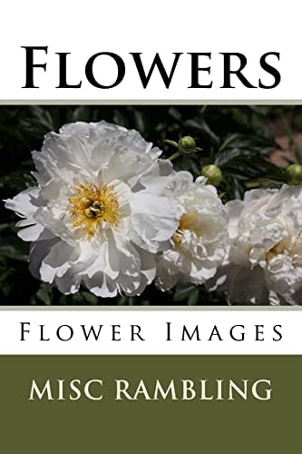 Flowers Flower Images