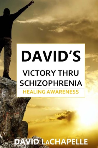 David's Victory Thru Schizophrenia Healing Awareness