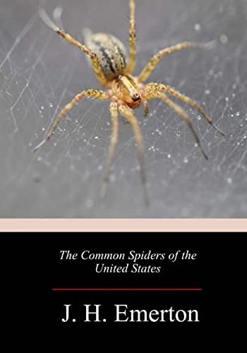 The Common Spiders of the United States