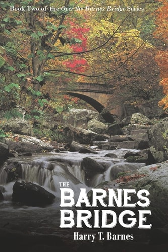 The Barnes Bridge