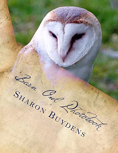 Barn Owl Photobook Royalty Free Color Pix of the Common Barn Owl, Family Tytonidae (Tyto Alba) Plus Talons and Owl Drawings