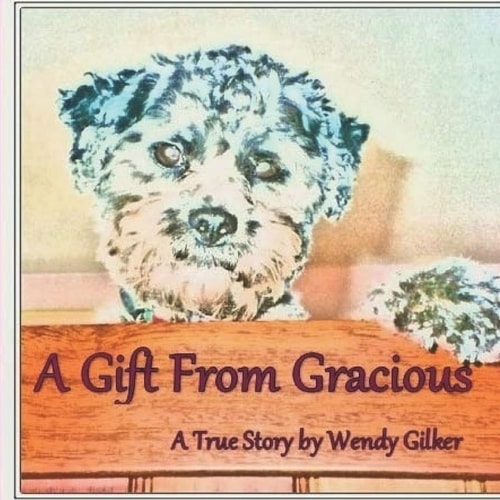 A Gift From Gracious A True Story