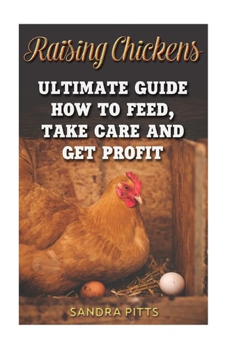 Raising Chickens Ultimate Guide How To Feed, Take Care and Get Profit