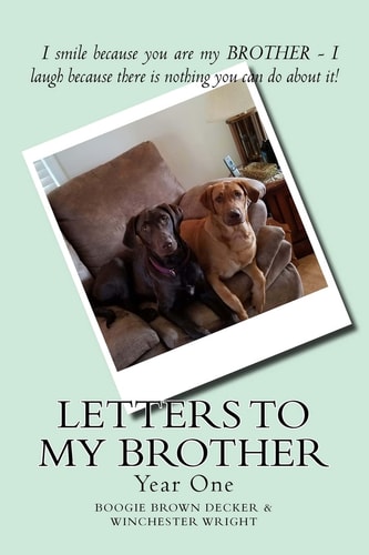 Letters to My Brother Year One